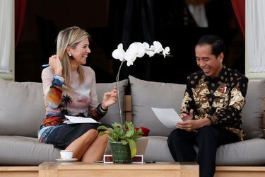 C’est dans sa robe Valentino à imprimé tropical que la reine Maxima des Pays-Bas a rencontré, ce jeudi 1er septembre à Jakarta, le président indonésien et deux de ses ministres<br />
.