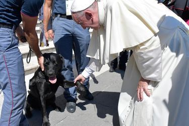 Leo le labrador noir, qui appartient à une brigade canine de la police, a été reçu par le pape François samedi.