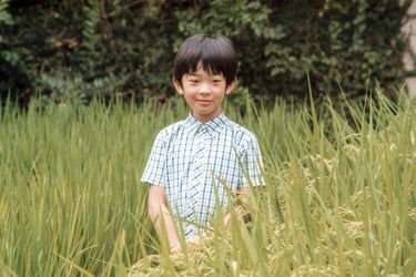 Hisahito du Japon fête ses 10 ans, en plein débat sur la succession