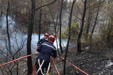150 hectares sont partis en fumée jeudi à Chateauneuf-les-Martigues