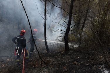 150 hectares sont partis en fumée jeudi à Chateauneuf-les-Martigues