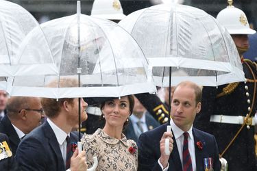 La duchesse de Cambridge, née Kate Middleton, a pris part aux cérémonies du centenaire de la bataille de la Somme<br />
 ce vendredi 1er juillet, en compagnie des princes William et Harry et du prince Charles accompagné de son épouse Camilla.