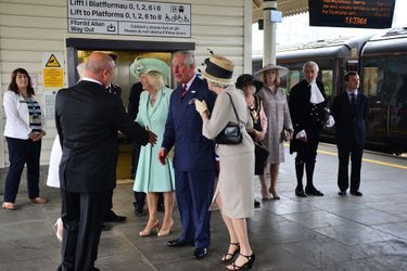 Le prince Charles et la duchesse de Cornouailles Camilla à Londres, le 7 juin 2016