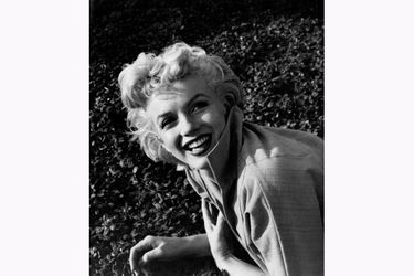 Marilyn Monroe, 1954