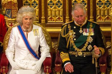 Le prince Charles et sa femme la duchesse de Cornouailles Camilla au Parlement à Londres, le 18 mai 2016