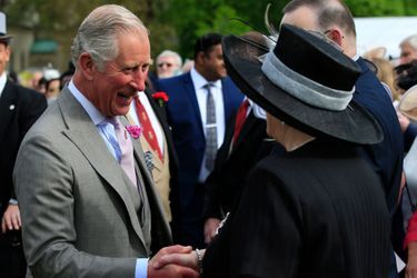 Le prince Charles à Buckingham Palace à Londres, le 19 mai 2016