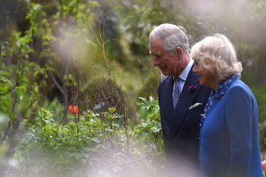 Le prince Charles et la duchesse de Cornouailles Camilla dans le parc national de Glenveagh, le 25 mai 2016