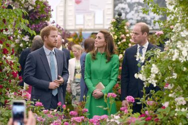 Le prince William, son épouse la duchesse de Cambridge et le prince Harry au Chelsea Flower Show.