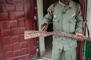 Hashumu Abdullahi, ranger dans le parc national de Yankari (Nigéria), fabrique des armes pour traquer les braconniers