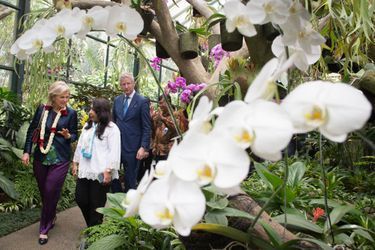 La princesse Astrid de Belgique dans le jardin botanique de Bogor, le 16 mars 2016