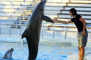 Rencontre avec un dauphin
