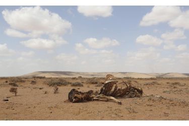 El Niño: la sécheresse tue en Somalie