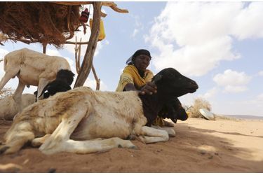 El Niño: la sécheresse tue en Somalie