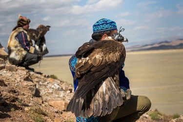Le peuple des aigles, chasseurs traditionnels de Mongolie 