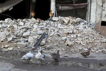 A Alep, la vie en ruines, le 31 janvier 2016