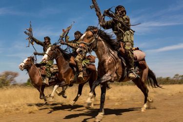 Ivory Wars Nature, second prize stories, Brent Stirton South Africa