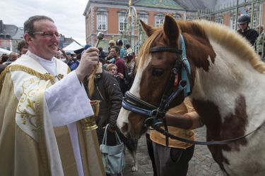 Chiens et chevaux bénis à l'occasion de la Saint-Hubert