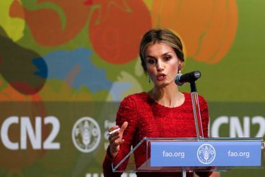 La reine Letizia d’Espagne participe à la deuxième Conférence internationale sur la nutrition à Rome, le 20 novembre 2014