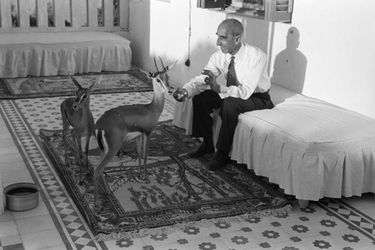 Mars 1954, à l'occasion d'un reportage sur le roi Saoud Ben Abdel Aziz d'Arabie Saoudite, rencontre avec l'Ambassadeur de France, Georges Gueyraud....