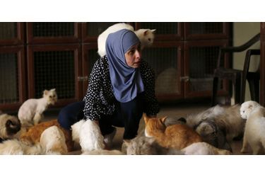 Maysoon et ses chats à Amman, en Jordanie