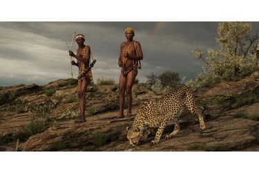 Partie de chasse avec un guépard en Namibie