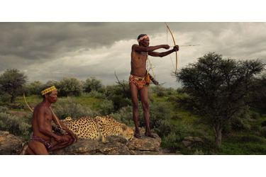 Partie de chasse avec un guépard en Namibie