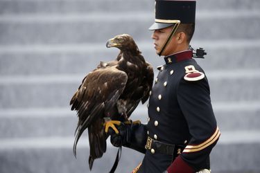Trois aigles et trois faucons de l’armée mexicaine ont inauguré le défilé du 14 juillet