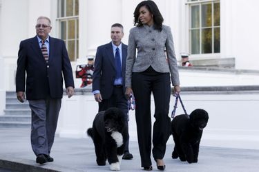 Accompagnée de Bo et Sunny, Michelle Obama va accueillir le sapin de Noël de la Maison-Blanche, en novembre 2015