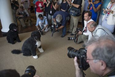 Bo et Sunny avec des journalistes à la Maison-Blanche, en juillet 2015