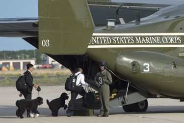 Bo et Sunny embarquent à bord d&#039;un avion militaire pour rejoindre les Obama à Martha&#039;s Vineyard, en août 2015