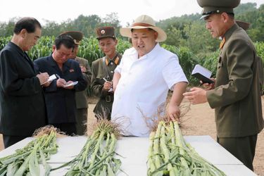 Le dictateur nord-coréen Kim Jong-un, photographié en août 2015 dans une ferme