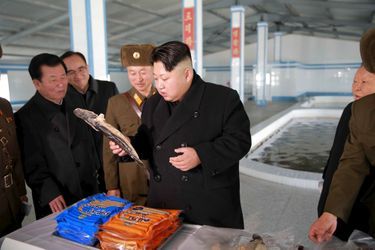 Le dictateur nord-coréen Kim Jong-un, photographié en décembre 2015 dans une ferme piscicole
