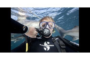 Selfie parmi les requins
