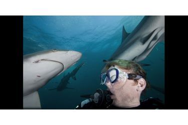 Selfie parmi les requins