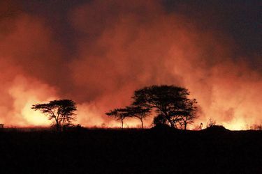 Terres brûlées dans le parc du Serengeti, en Tanzanie, afin de rassembler les animaux pour faciliter la tâche aux braconniers