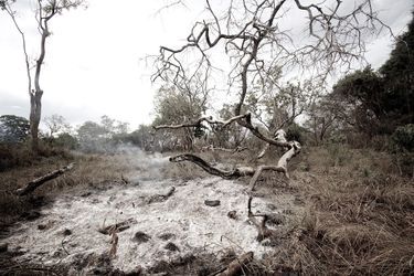 Terres brûlées dans le parc du Serengeti, en Tanzanie, afin de rassembler les animaux pour faciliter la tâche aux braconniers