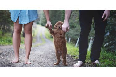 Un couple sans enfant pose avec son chien