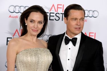 Avant de divorcer, Angelina Jolie et Brad Pitt ont eu six enfants (plusieurs ont été adoptés) : Maddox (2002), Sahara (2005), Shiloh (2006), Pax (2003), Know et Vivienne (2008).  