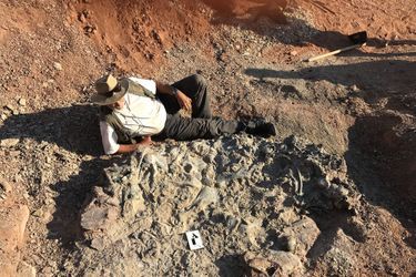 Un chercheur devant l'un des fossiles du cimetière 