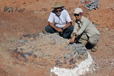 Deux chercheurs devant l'un des fossiles du cimetière 