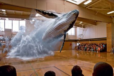 Vidéo sur la technique du Magic Leap. C’est grâce à la caméra placée derrière les lunettes que les spectateurs peuvent voir la baleine. 