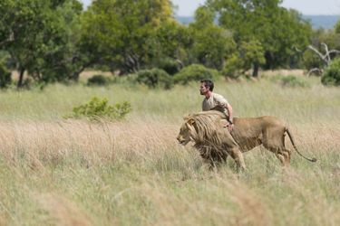 Kevin Richardson lutte contre les réserves qui élèvent des lions pour les faire abattre par des touristes.