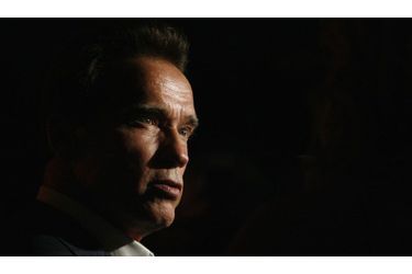 <br />
Arnold Schwarzenegger en 2008.