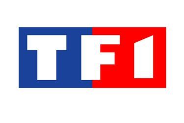 Audiences TV: la mainmise de TF1
