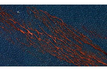 Marée noire: 780 millions de litres de brut écoulés