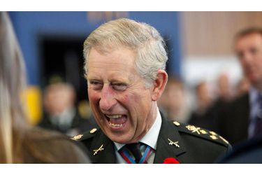 <br />
 Le prince Charles est parvenu à faire capoter un projet immobilier à plus de trois milliards de livres.