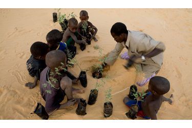 <br />
  Le défi. Un habitant d’Egoyan entouré d'enfants en plein travail écolo. Egoyan est un village modèle. En quatre ans, ses 300 habitants ont réussi à stabiliser 100 hectares au bord du Niger grâce à des plantations d’acacia (photo) et d’eucalyptus. Dans le cadre du Programme de lutte contre l’ensablement (PLCE), la communauté perçoit 150 euros par hectare « fixé ».