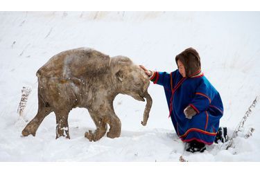 <br />
41 993 ans les séparent. A droite, Anthon, 7 ans, pensionnaire dans la capitale Iamalo-Nénétsie, extrême nord de la Russie. A gauche, Lyuba, 1 mois, femelle mammouth née à la fin du printemps, il y a 42 000 ans.