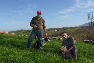 Félix Berhau, 53 ans, son neveu Xabi, 23 ans, et Eder, leur border collie, à Sare, au Pays basque. Ils transforment le lait de leurs 150 brebis en fromage Ossau-Iraty, vendu en direct.