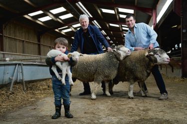 Marc Lefèvre, 60 ans, son fils Antoine, 33 ans, son petit-fils, Jean, 3 ans et demi, à Catigny, dans l’Oise, le 20 février. Avec 2 des 6 béliers sélectionnés pour le Salon et l’un des derniers-nés des 1200 moutons de la bergerie.